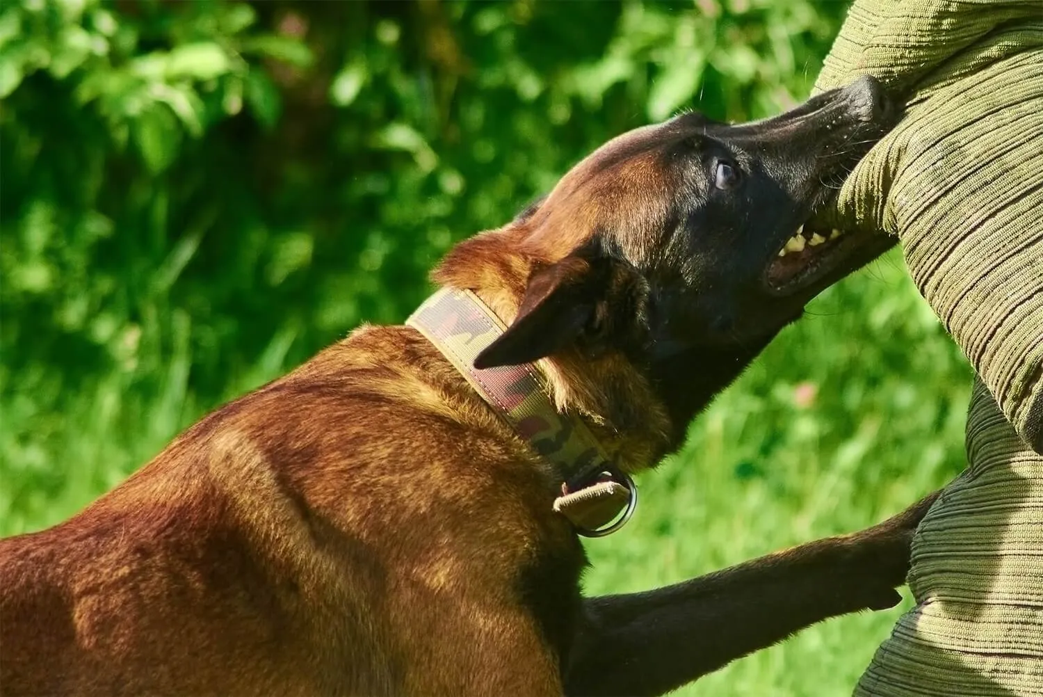 Carlos Tristan - Criminal Defense Law